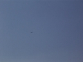 DSC02797